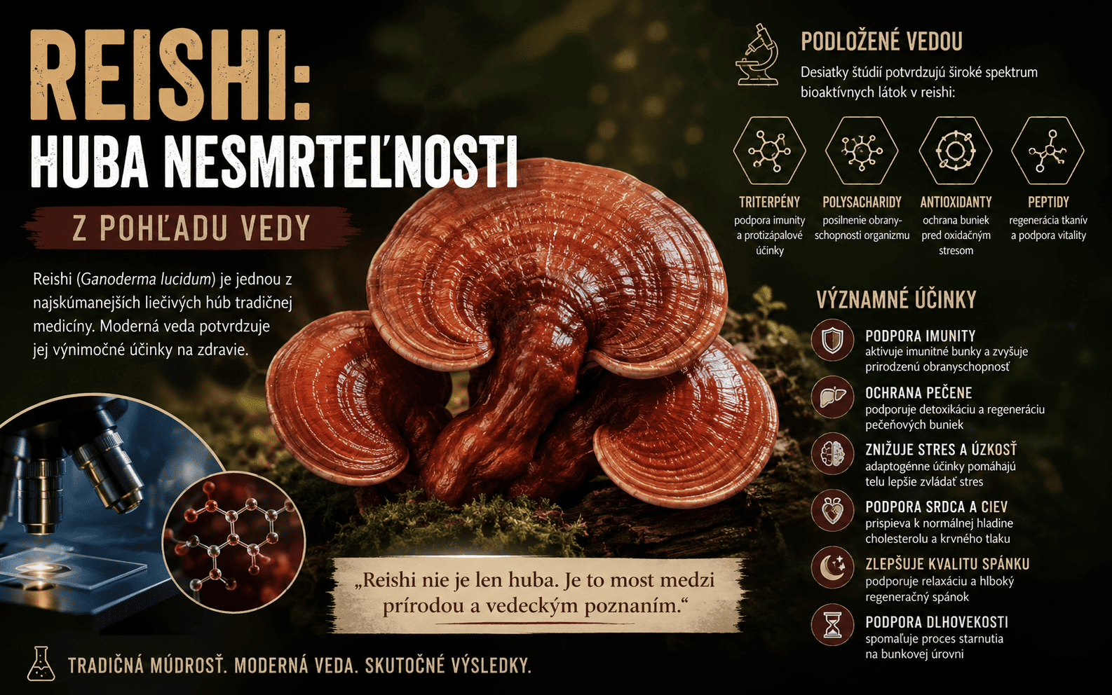 Reishi: huba nesmrteľnosti z pohľadu vedy
